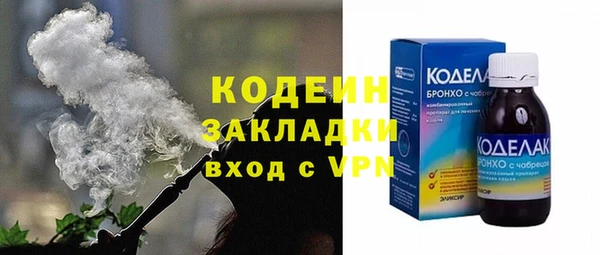 индика Верхний Тагил