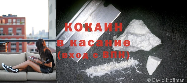 прущая мука Бородино