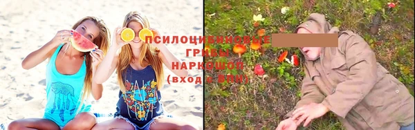 apvp Верея