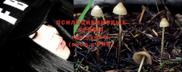 индика Верхний Тагил