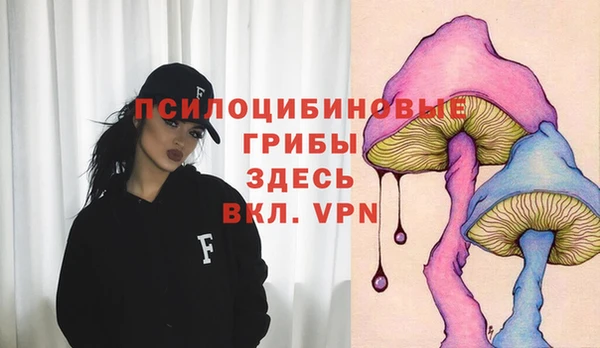 винт Бугульма