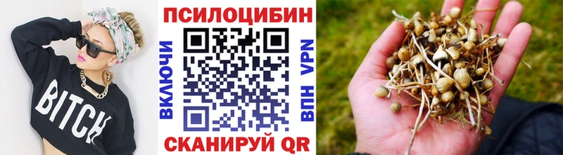 Галлюциногенные грибы Magic Shrooms  Уссурийск 